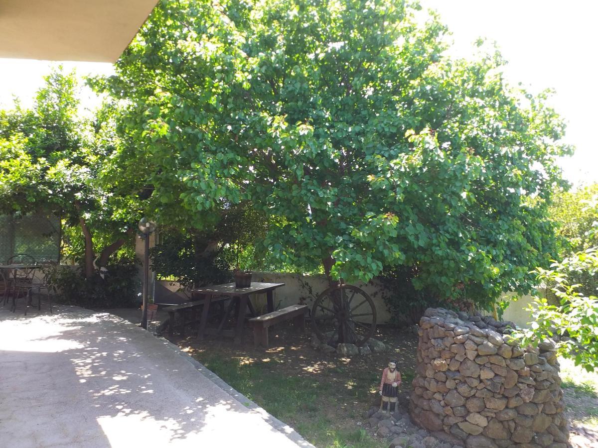 B&B Antica Botte סאסארי מראה חיצוני תמונה