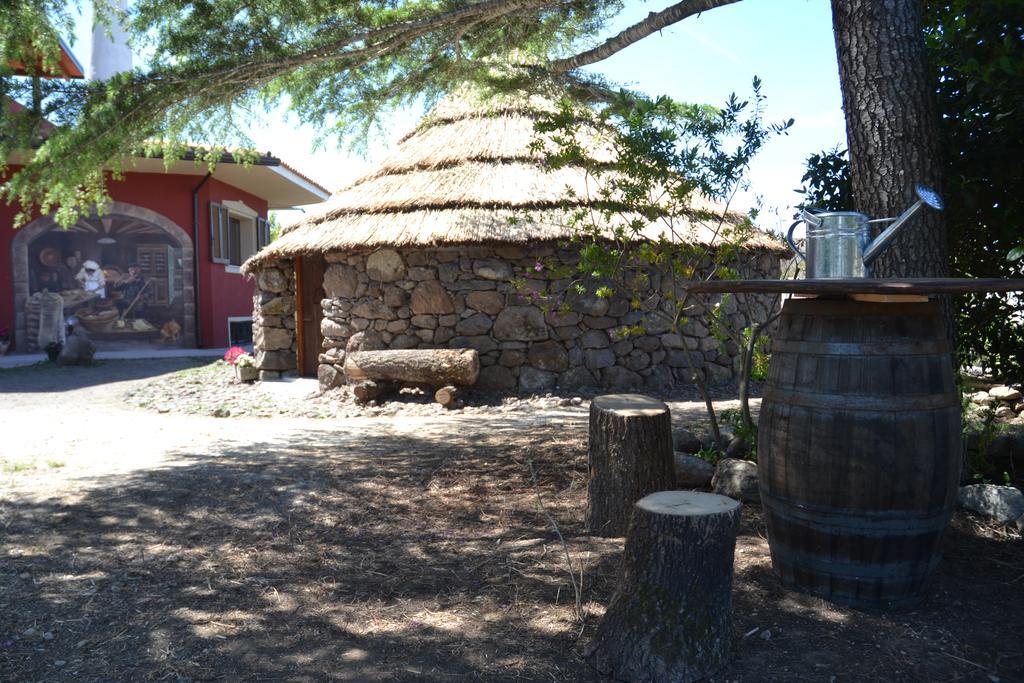B&B Antica Botte סאסארי מראה חיצוני תמונה